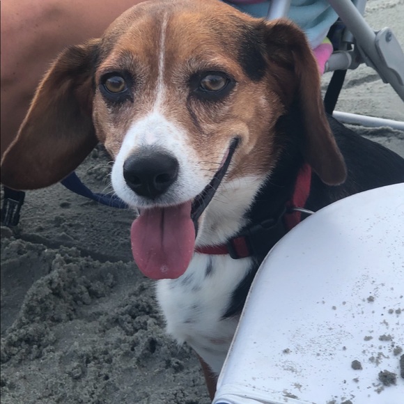 Meet your Posher, Jodi - Picture 10 of 10